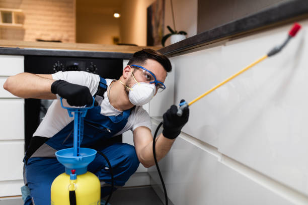 Best Cockroach Control Services  in Jacksonville, OR