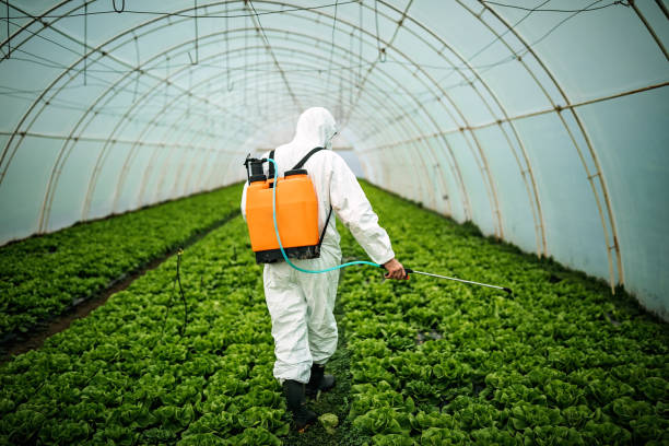 Best Pest Control Near Me  in Jacksonville, OR