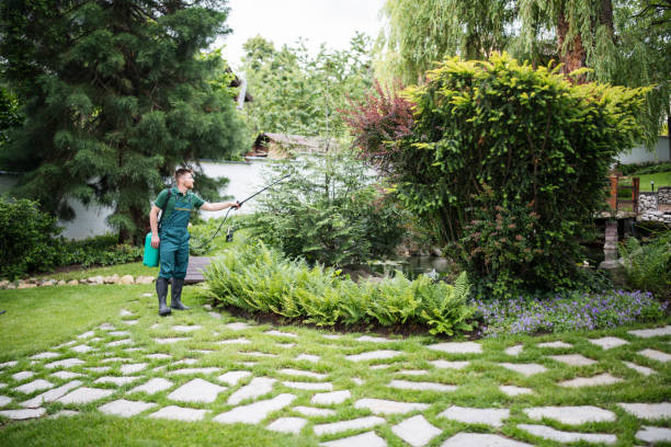 Reliable Jacksonville, OR Pest Control Solutions