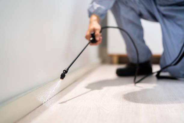 Flea Control Services in Jacksonville, OR