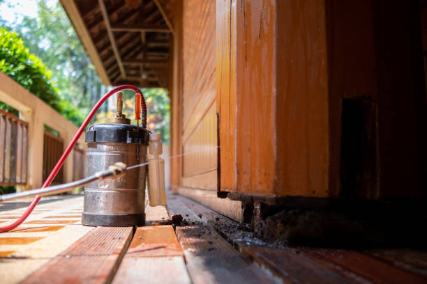 Best Affordable Pest Control Services  in Jacksonville, OR
