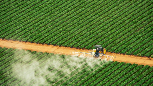 Best Ant Control Services  in Jacksonville, OR