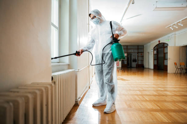 Best Pest Control Near Me in Jacksonville, OR